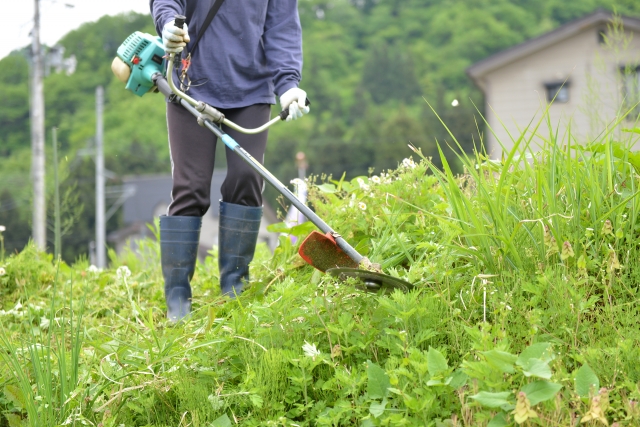 東大阪市で草刈りに最適な年3回の時期～楽に草刈りを終えるコツまで徹底解説